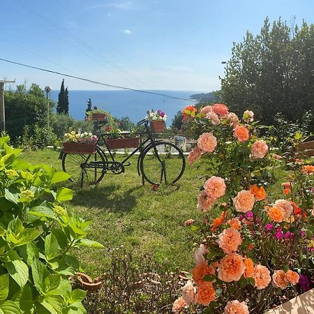 Villa Pergola -Apartment Roko Млини Екстериор снимка