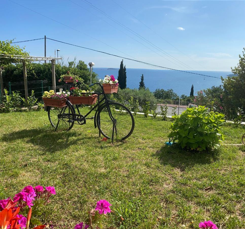 Villa Pergola -Apartment Roko Млини Екстериор снимка